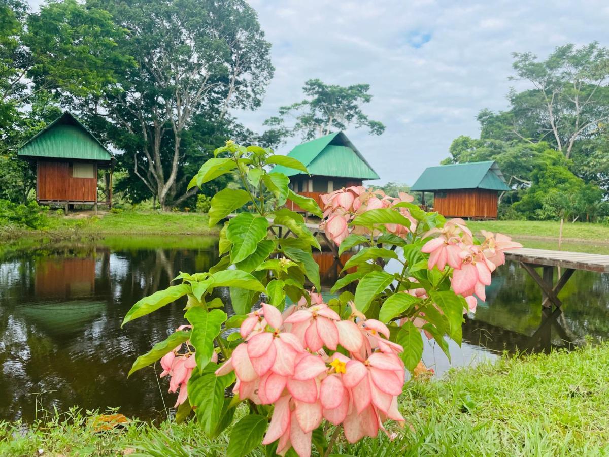 Sunrise Of Tambopata Villa Puerto Maldonado Exterior photo